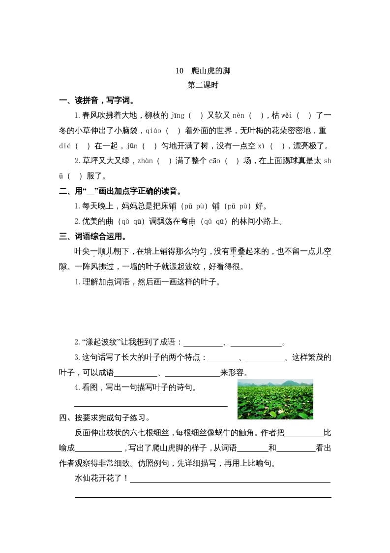 图片[3]-四年级语文上册10爬山虎的脚-简单街-jiandanjie.com