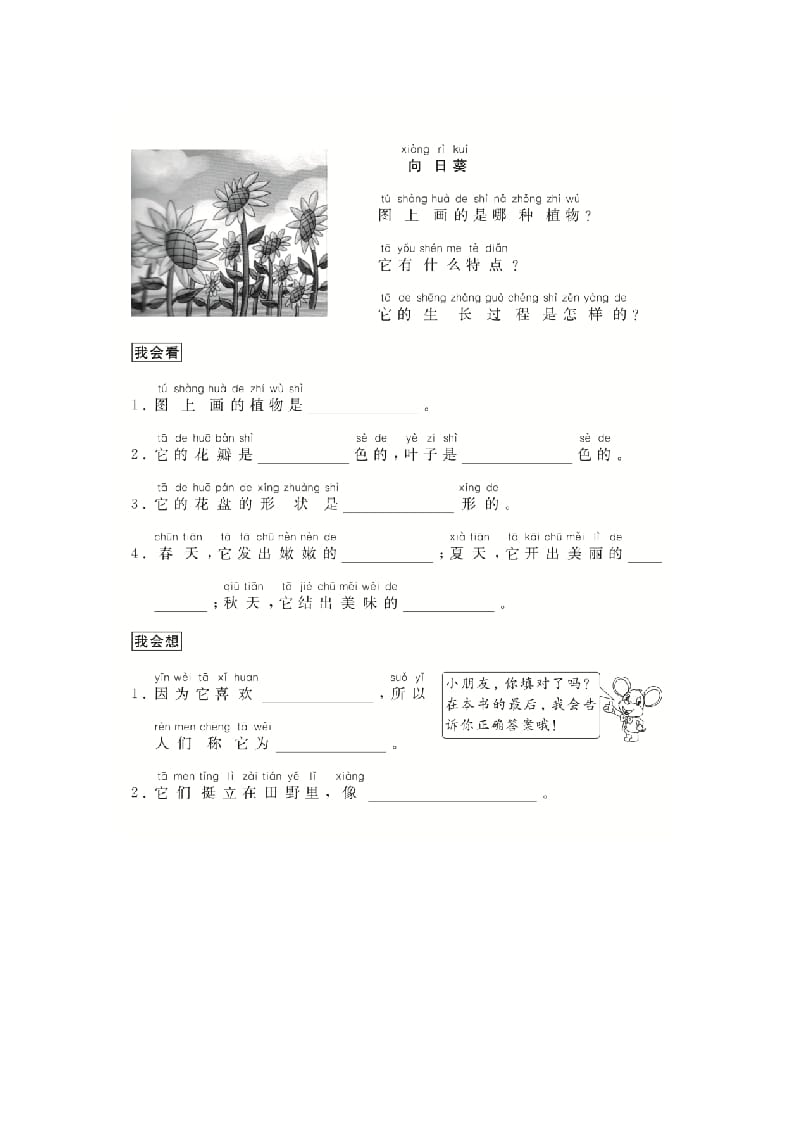 图片[2]-二年级语文上册（跟我学写话）写物（5篇）（部编）-简单街-jiandanjie.com