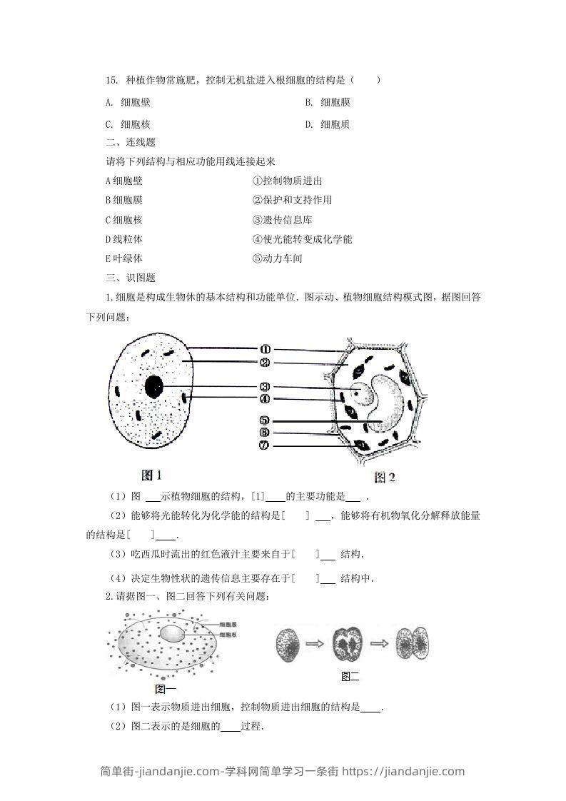 图片[3]-七年级上册生物第二单元第一章第四节试卷及答案(Word版)-简单街-jiandanjie.com