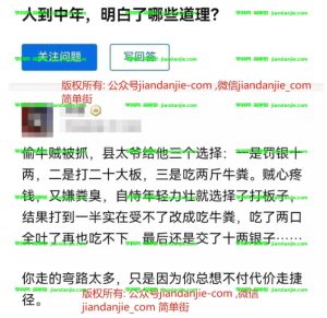 简单街-jiandanjie.com-简单街-说明书指南学科教辅项目虚拟产品变现SOP流程