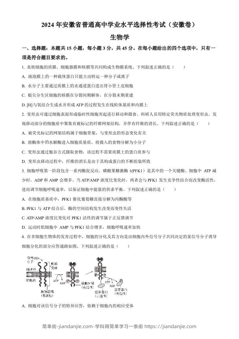 2024年高考生物试卷（安徽）（空白卷）-简单街-jiandanjie.com