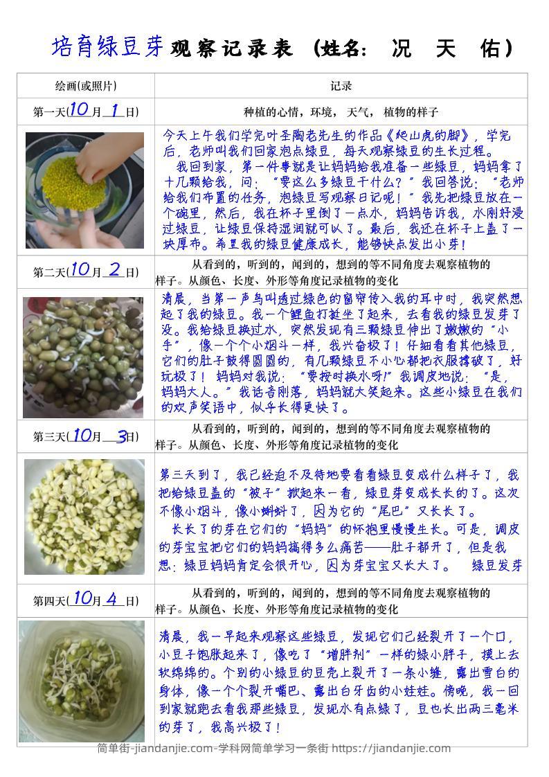 四上语文习作三：培育绿豆芽观察日记2《写观察日记》4页-简单街-jiandanjie.com