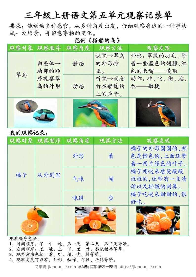 三上语文第五单元观察记录单（空白+答案14页）-简单街-jiandanjie.com